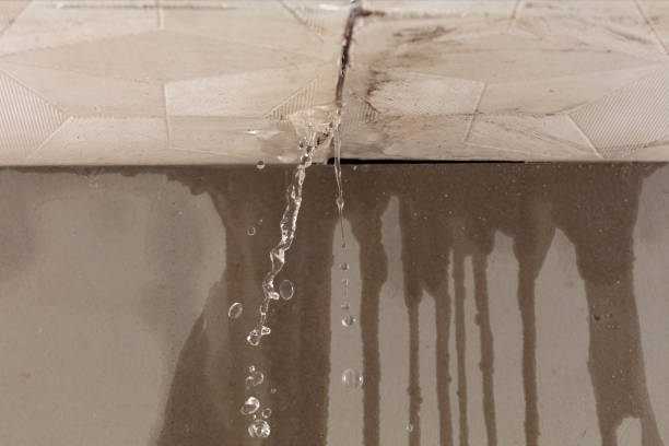 Professional Water Damage Inspection technician working in Poy Sippi, WI